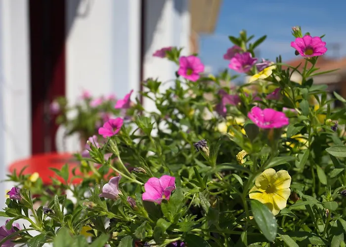 Casa Di Fiori * Lefkada City